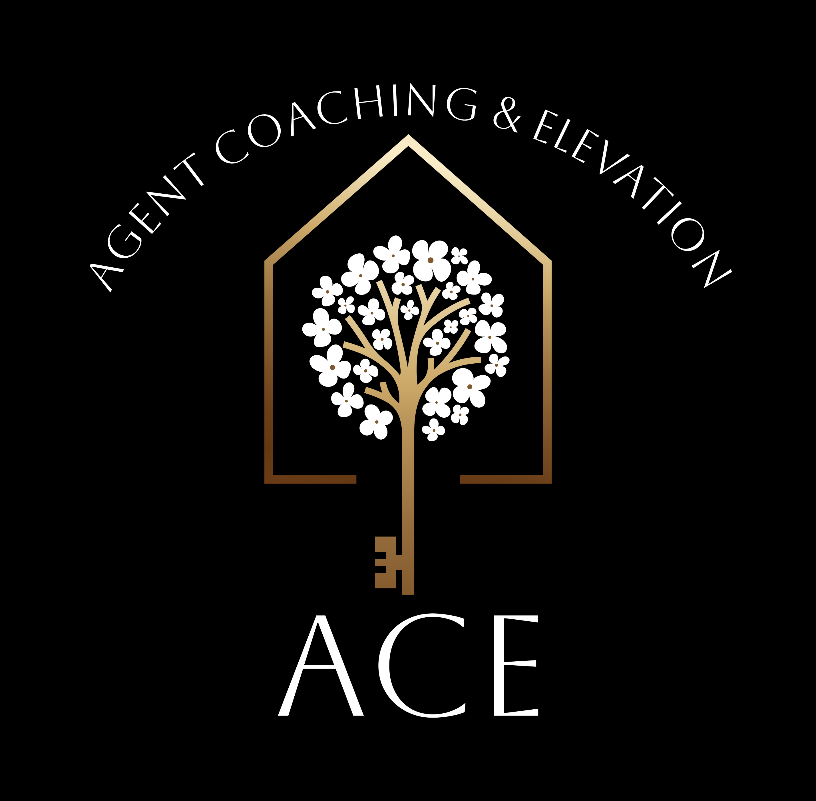 ACE – Agent Coaching & Elevation